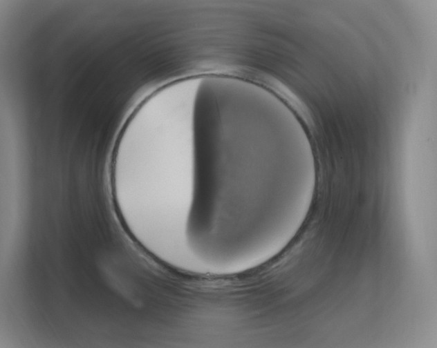 X0000111161291200908111146