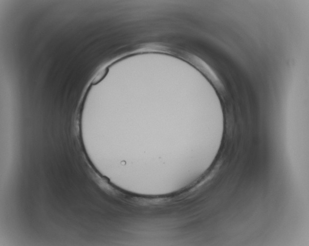 X0000111161292200908111146