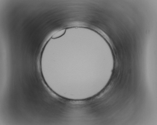 X0000111161293200908111146