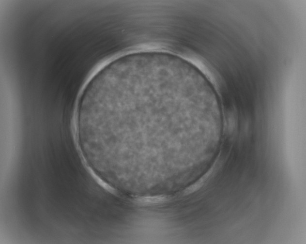 X0000111161294200908111146
