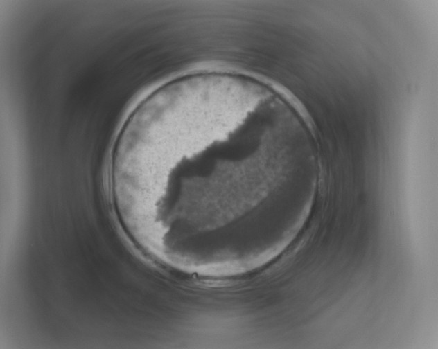 X0000111161295200908111146
