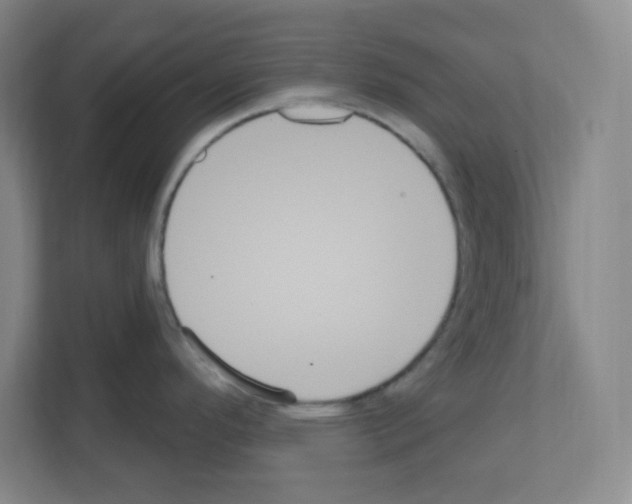 X0000111161296200908111146