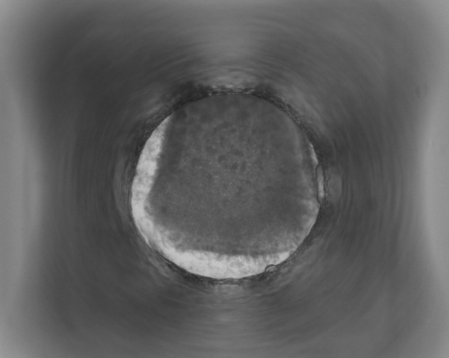 X0000111161297200908111146