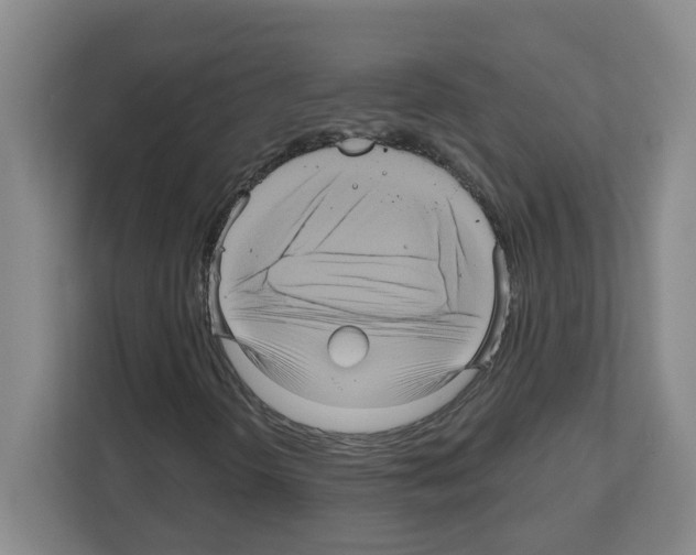 X0000111161298200908111146