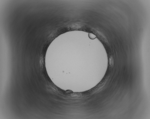 X0000111161299200908111146
