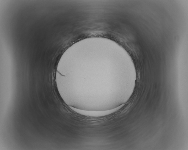 X0000111161300200908111146