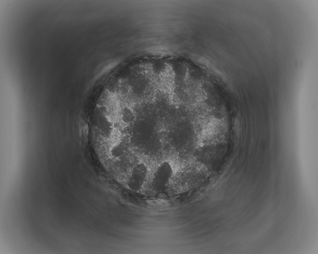 X0000111161302200908111146