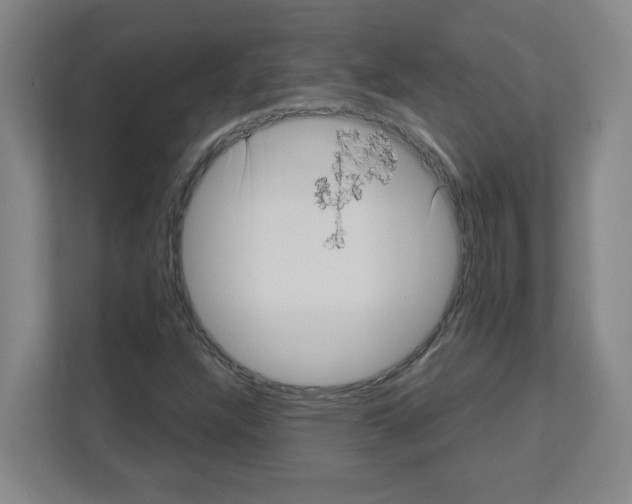X0000111161304200908111146