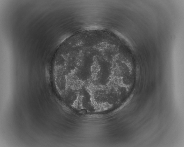 X0000111161305200908111146