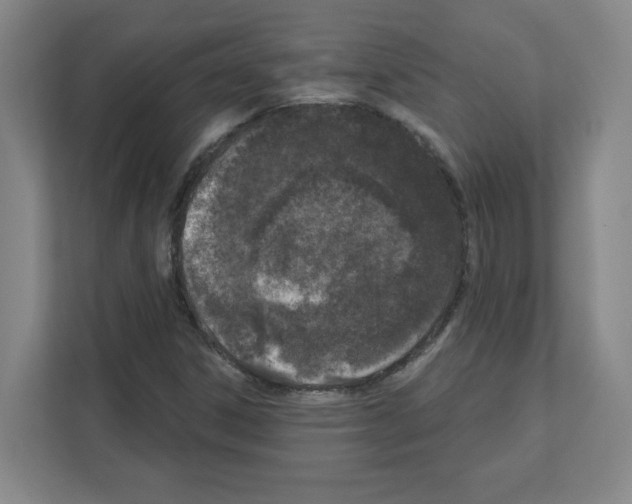 X0000111161306200908111146