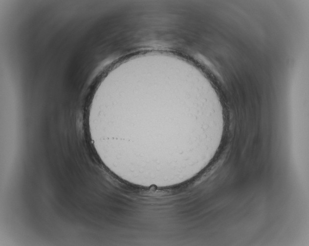 X0000111161307200908111146