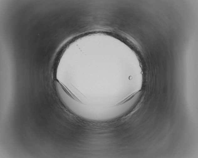 X0000111161310200908111146