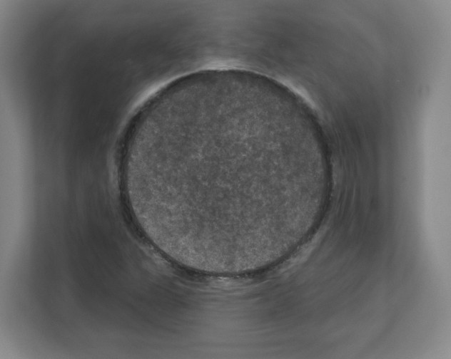 X0000111161311200908111146