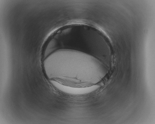 X0000111161312200908111146