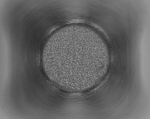 X0000111161313200908111146