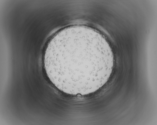 X0000111161315200908111146