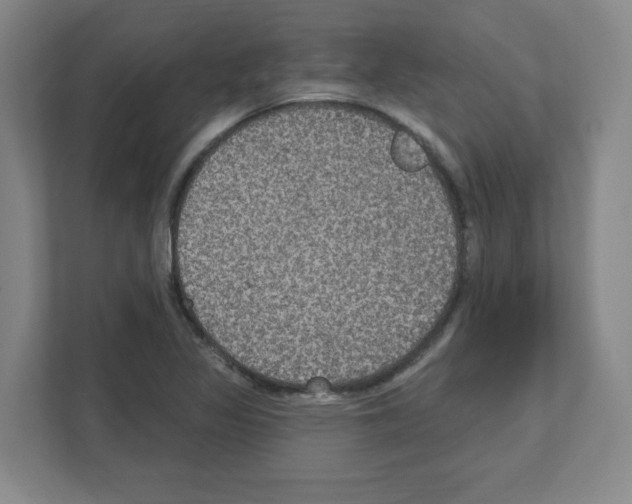 X0000111161317200908111146