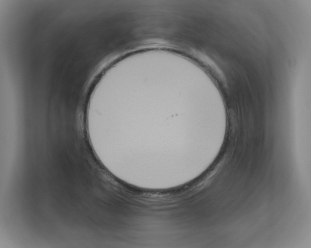 X0000111161318200908111146