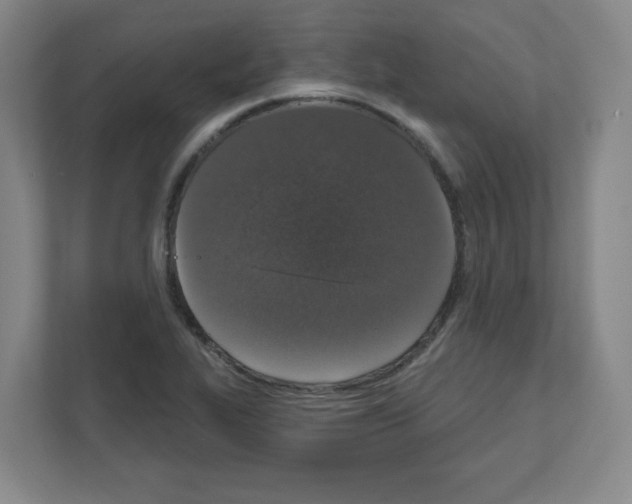 X0000111161319200908111146