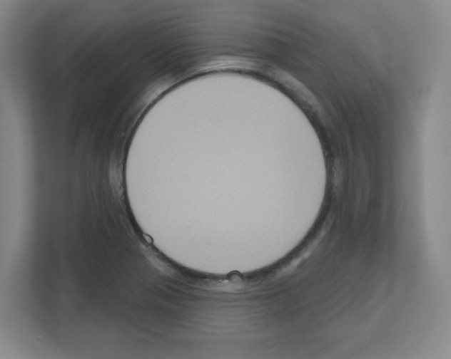 X0000111161321200908111146