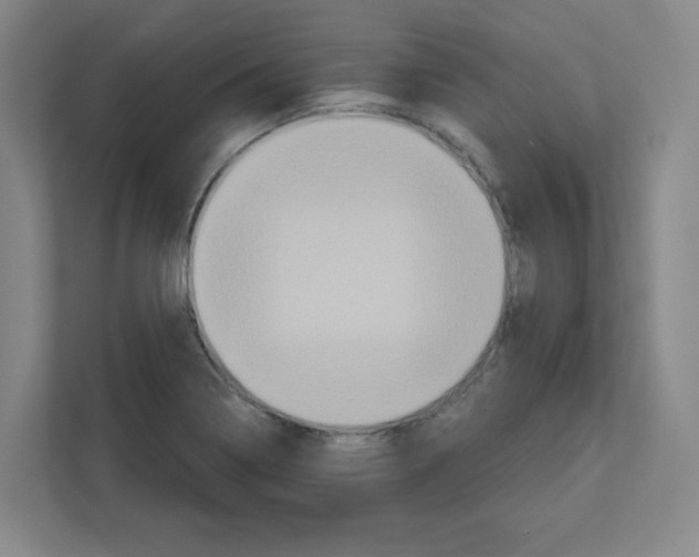 X0000111161322200908111146