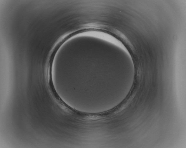 X0000111161323200908111146