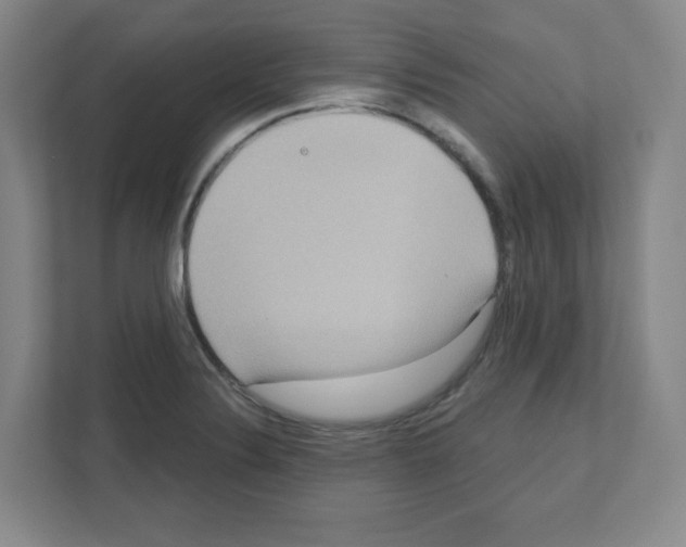 X0000111161324200908111146