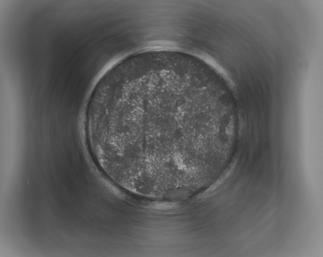 X0000111161325200908111146