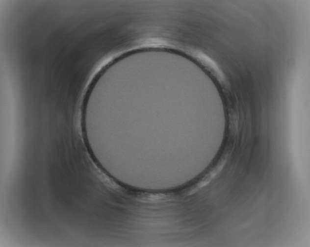 X0000111161326200908111146