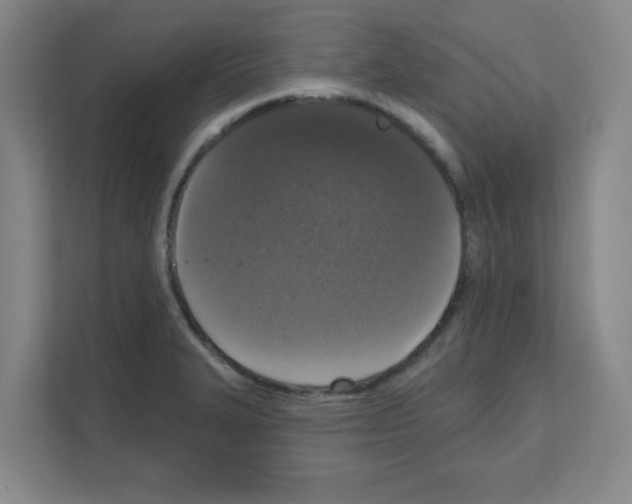 X0000111161327200908111146