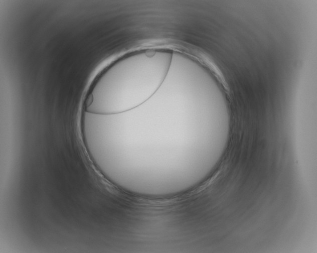 X0000111161328200908111146