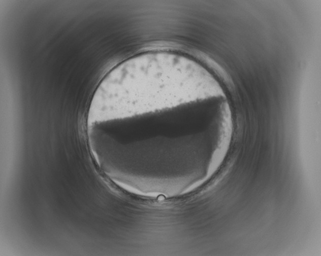 X0000111161329200908111146