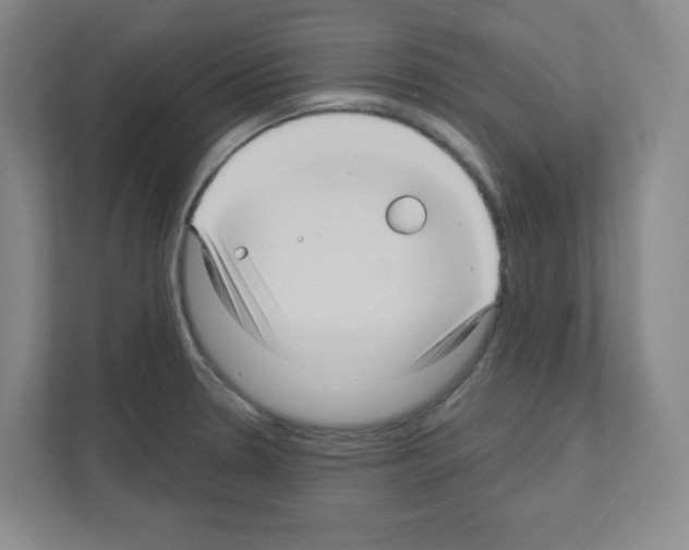 X0000111161330200908111146