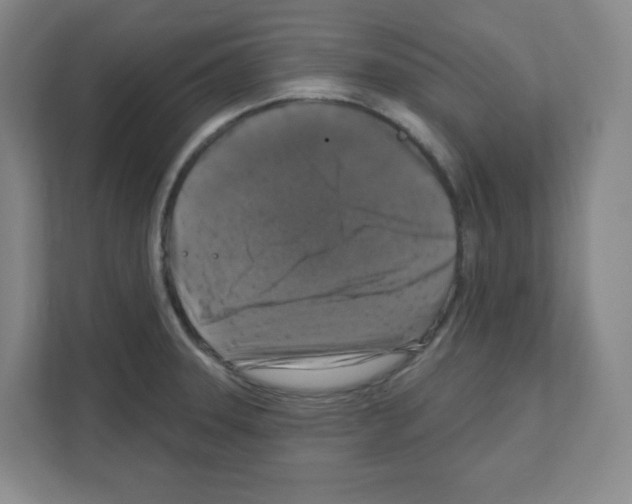 X0000111161331200908111146