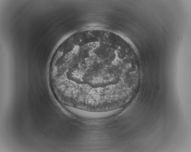 X0000111161333200908111146