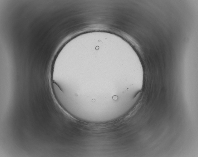 X0000111161334200908111146