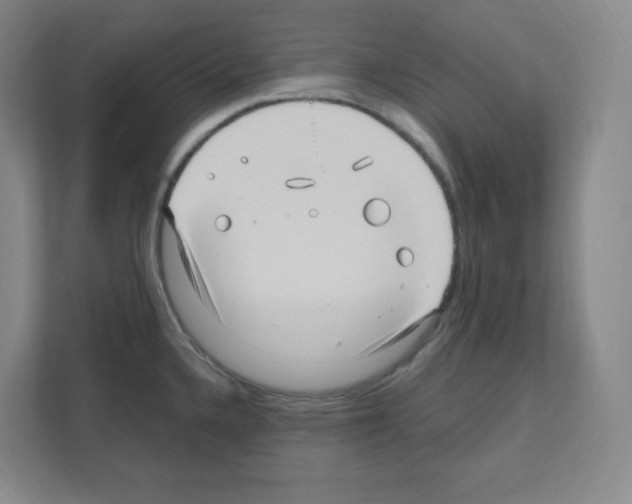 X0000111161336200908111146