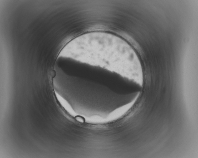 X0000111161337200908111146