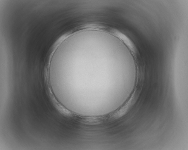 X0000111161338200908111146
