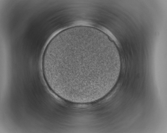 X0000111161339200908111146