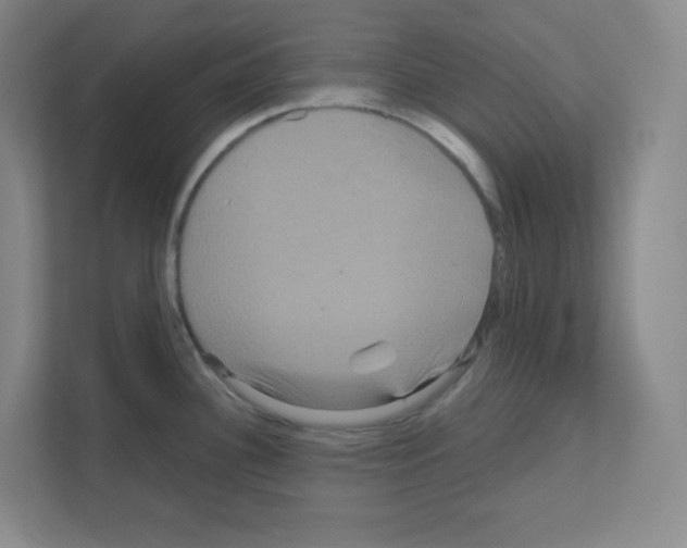 X0000111161340200908111146