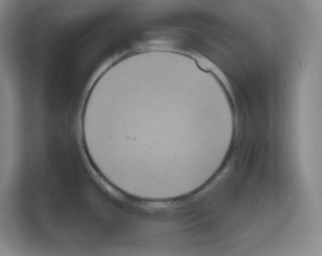 X0000111161341200908111146