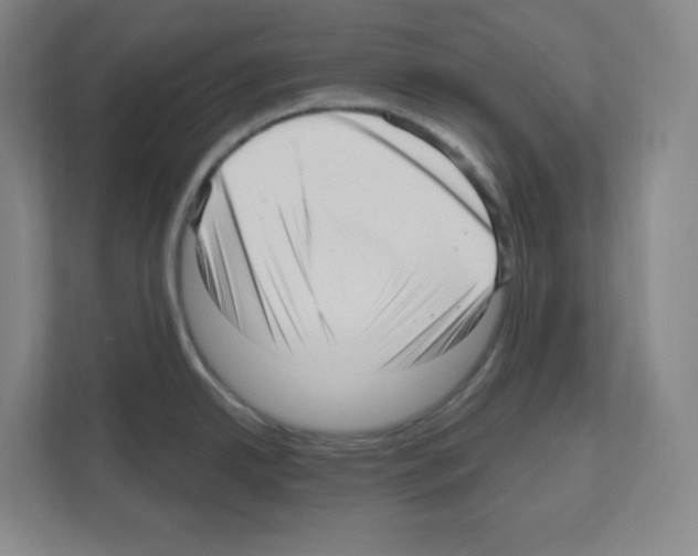 X0000111161342200908111146