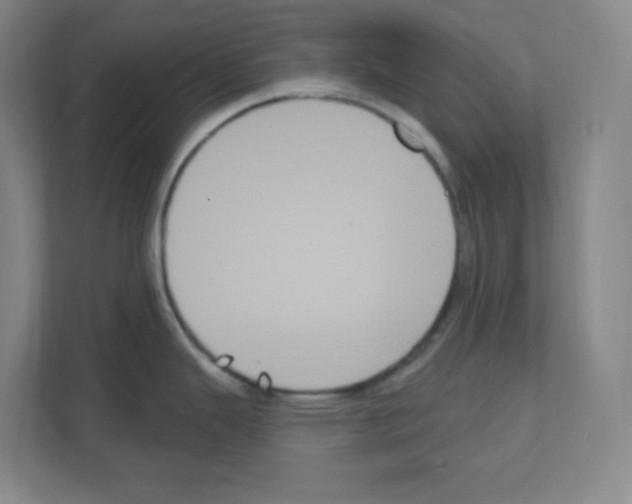 X0000111161343200908111146