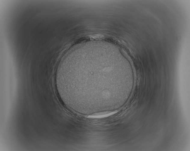 X0000111161345200908111146