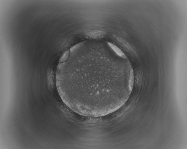 X0000111161346200908111146