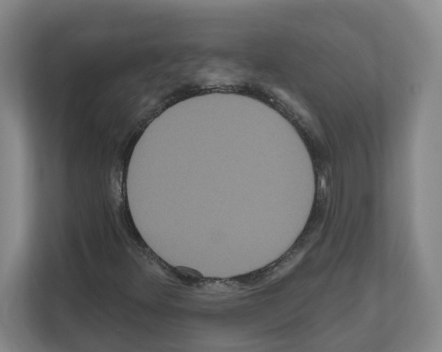 X0000111161348200908111146