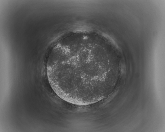 X0000111161350200908111145