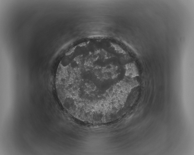 X0000111161351200908111145