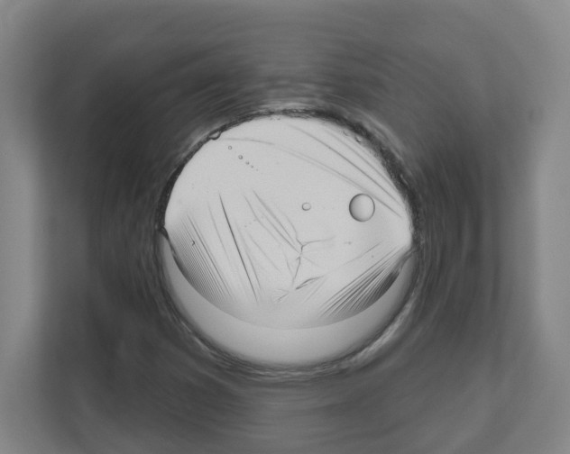 X0000111161353200908111145